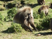 074-P1210630 (Kopie)