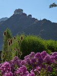 uitzicht op paleis van Leh