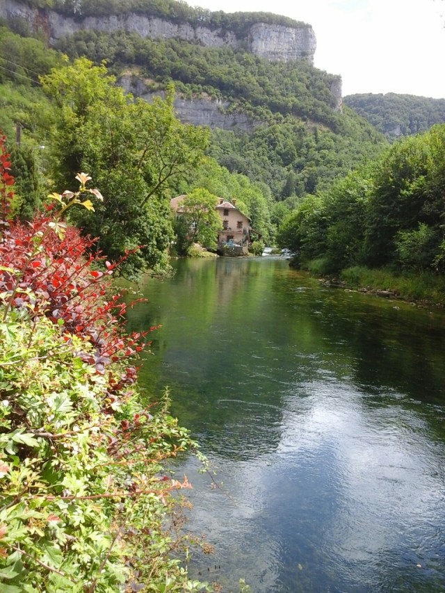 20150728_135641.jpg image