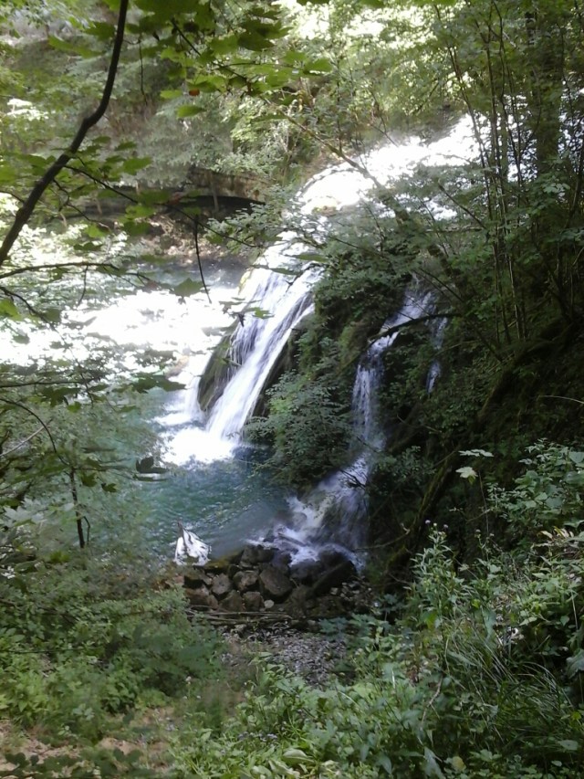 20150728_154917.jpg image