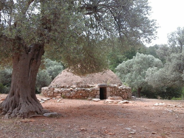 20160512_113756.jpg image